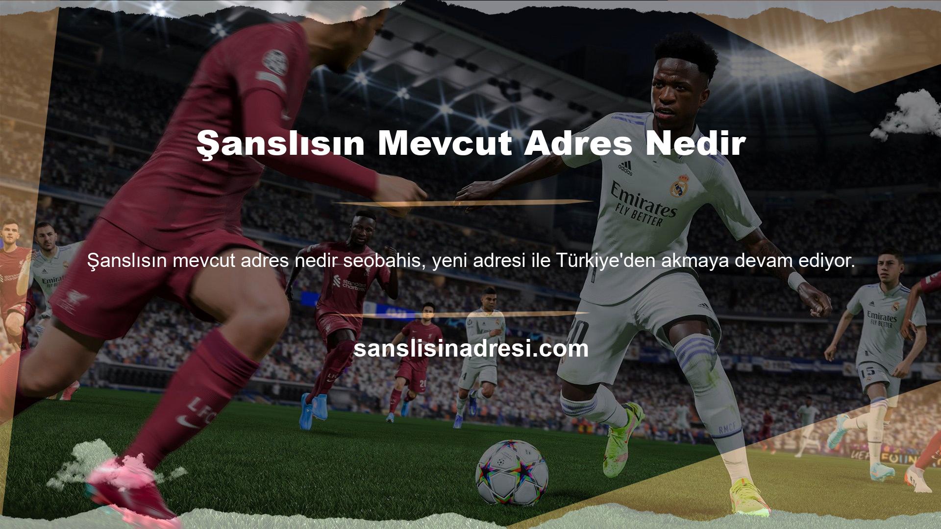 Güvenilir altyapı ve nitelikli Şanslısın ile en yüksek eğlence seviyesini sunuyoruz